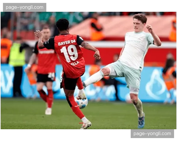 官方：霍芬海姆中场格里利奇赛季报销，对球队双后腰体系造成重大打击